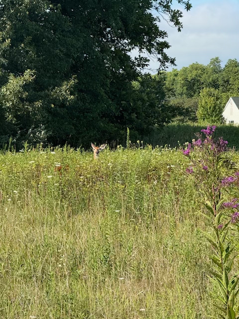 Fun Outdoor Activities for Families in Columbus, OH